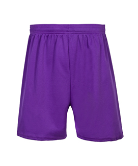 Purple Breathable Sports Shorts