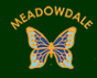 Meadowdale Primary Academy