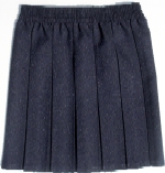 Navy Box Pleat Skirt