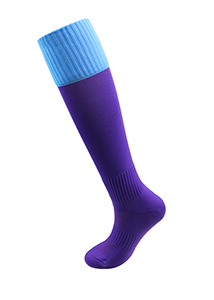 Cleethorpes Academy PE Socks