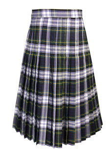 Half Pleated Skirt in Dress Gordon