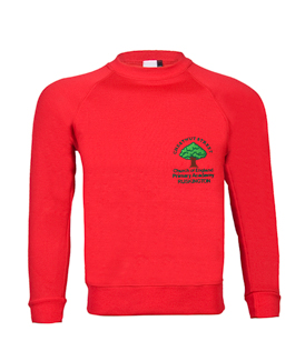 Chestnut Street CofE Primary Academy - SWEATSHIRT