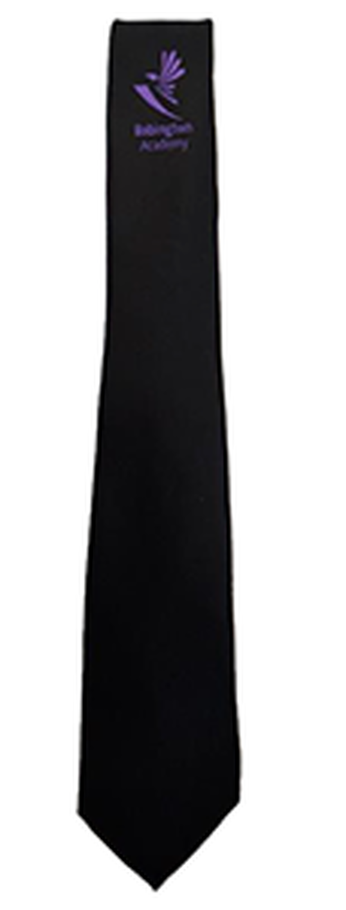 Babington Academy - PURPLE - Long Tie