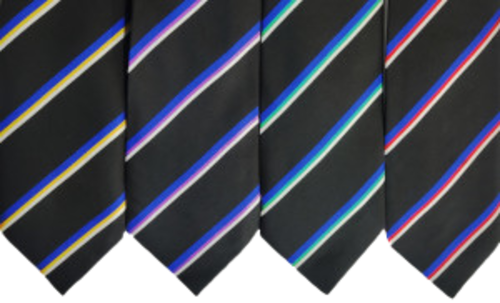 Barnes Wallis Academy - Tie