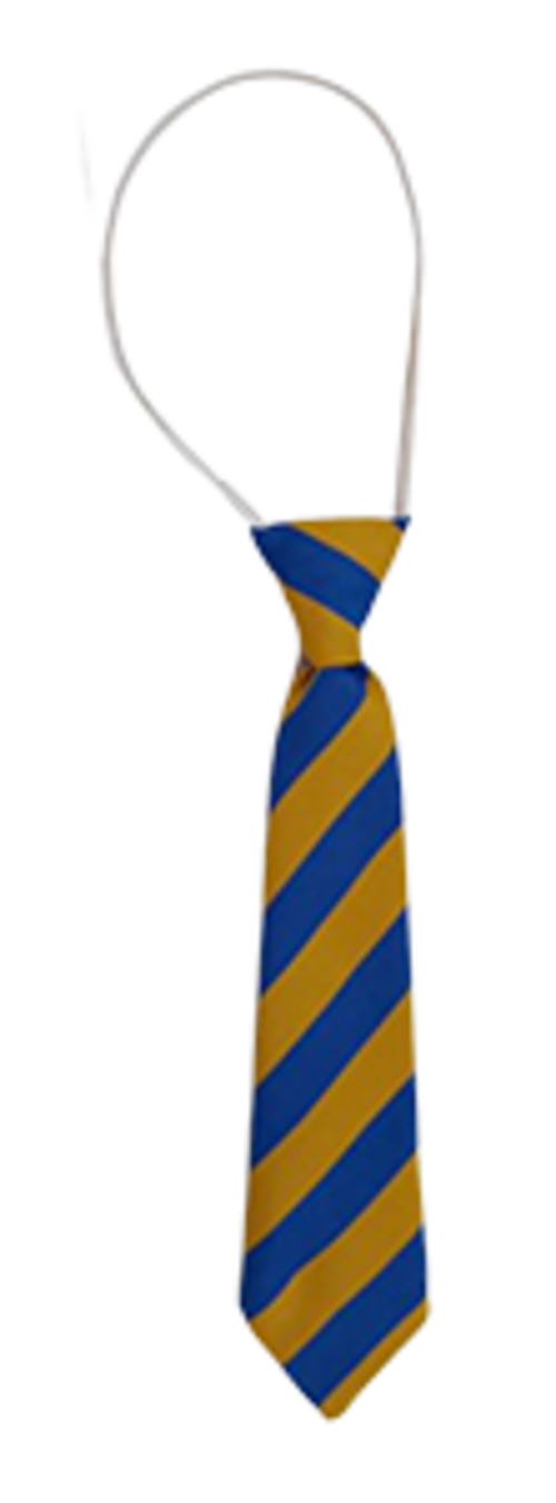 Saint Mary's RC Primary Academy - Royal/Gold - Elastic Tie