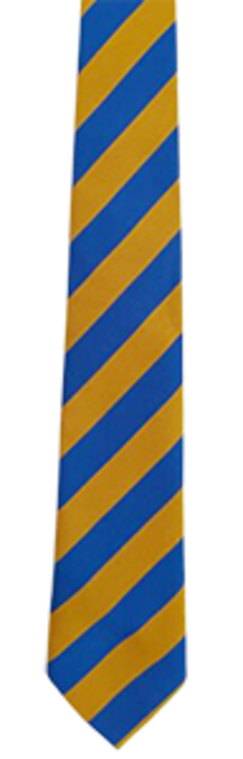 Saint Mary's RC Primary Academy - Royal/Gold - Long Tie