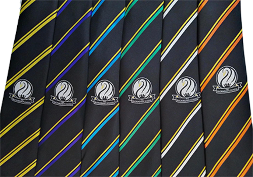 The Buckingham School - Tie