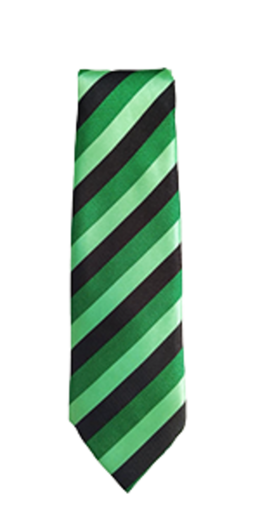 Catmose College - Tie