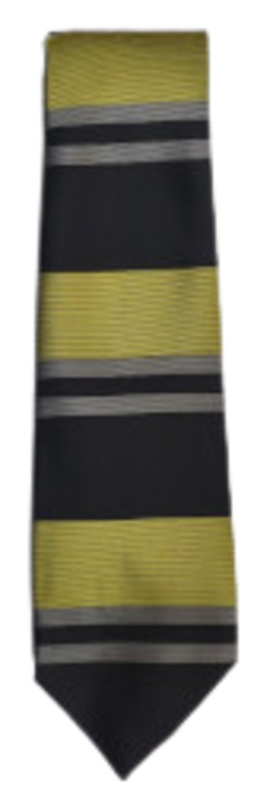 The Chalk Hills Academy - YELLOW - Tie