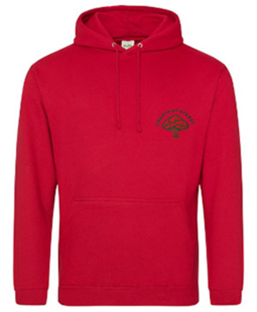 Chestnut Street CofE Primary Academy - PE Hoodie