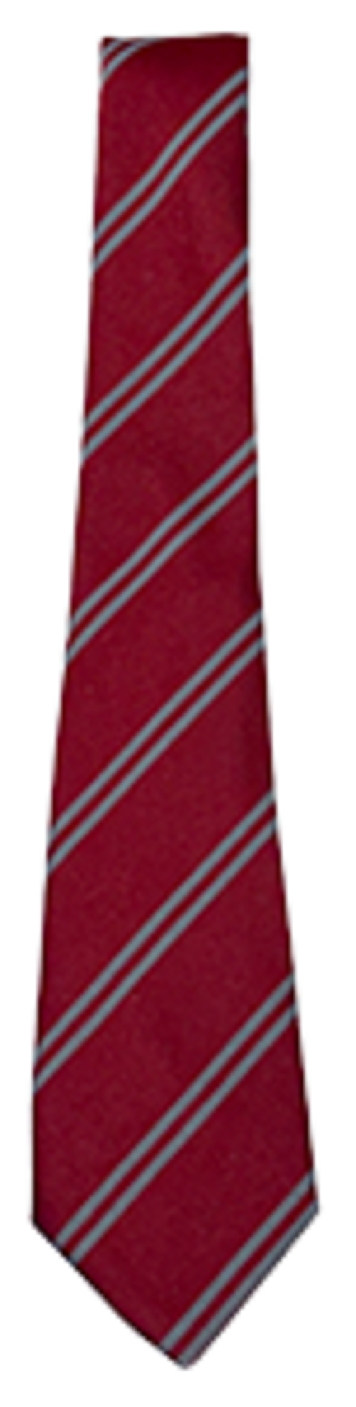 Coomb Briggs Tie