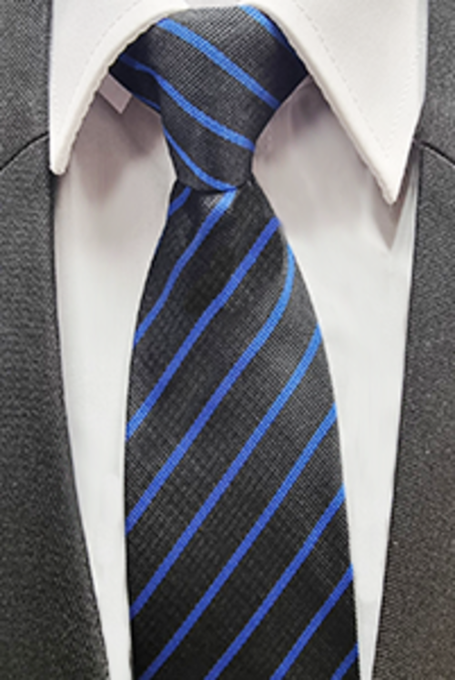 Derby Moor Academy Tie - Dedication (Blue)