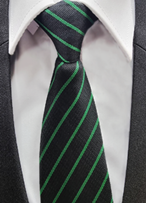 Derby Moor Academy Tie - Spirit (Green)