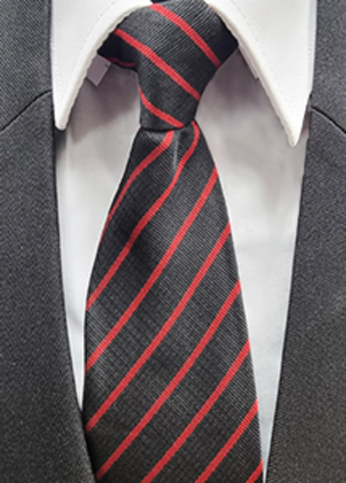 Derby Moor Academy Tie - Solidarity (Red)