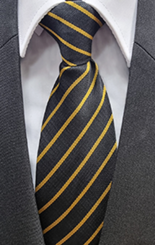 Derby Moor Academy Tie - Honour (Yellow)