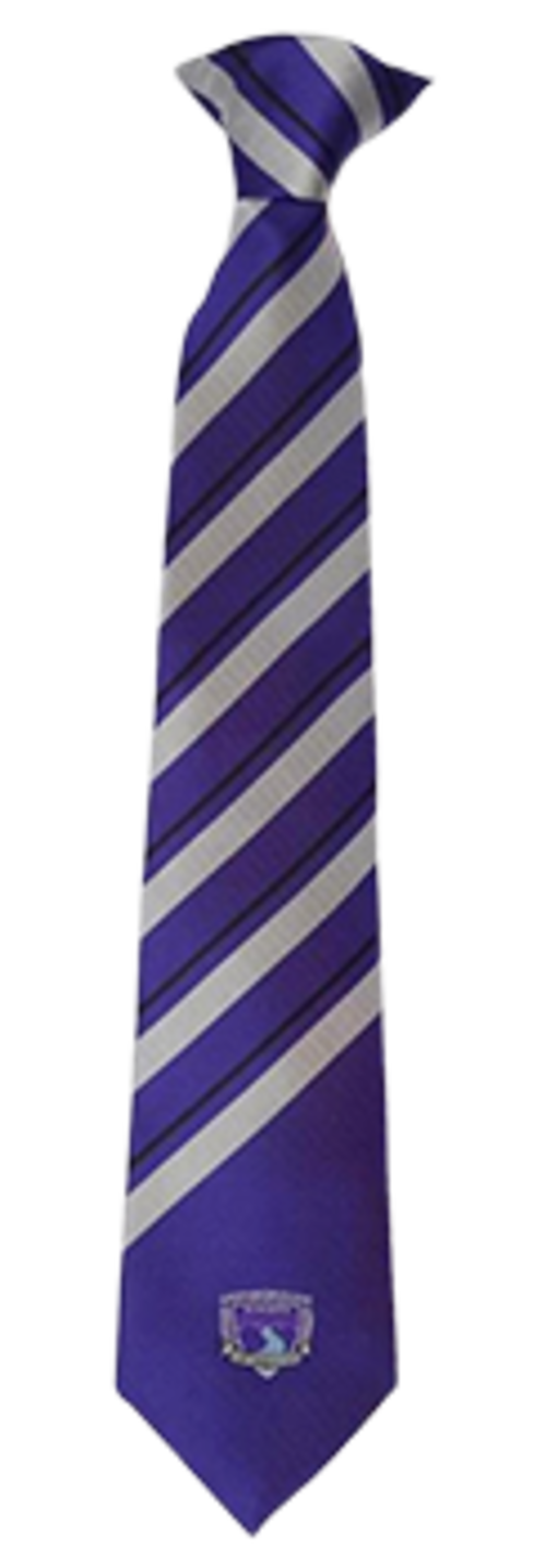 The Gainsborough Academy - TIE