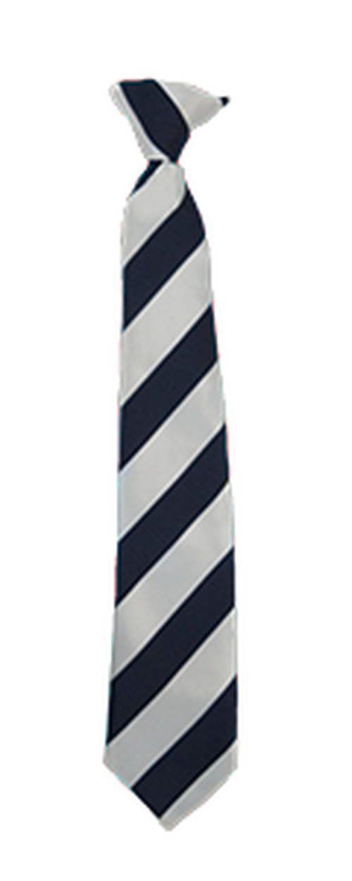 Havelock Academy Tie