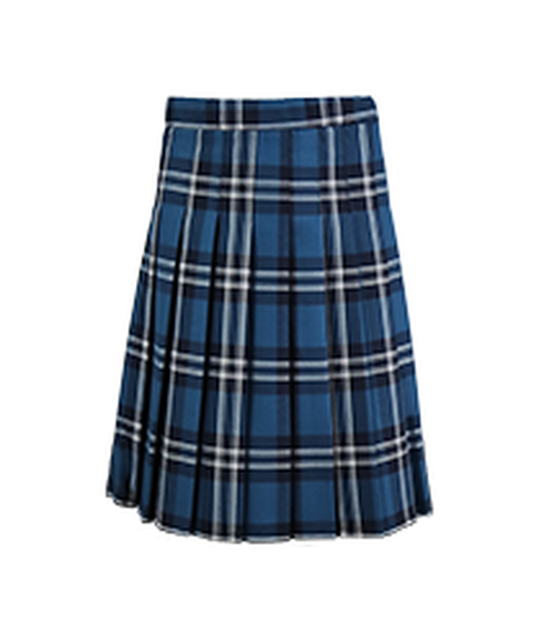 Hayfield Skirt