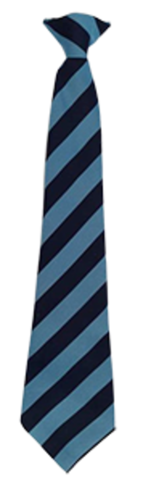 The Hayfield School Tie