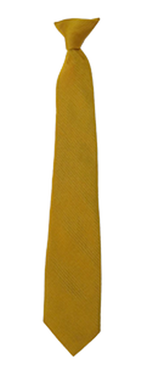 Healing Academy - Gold Tie - (55)