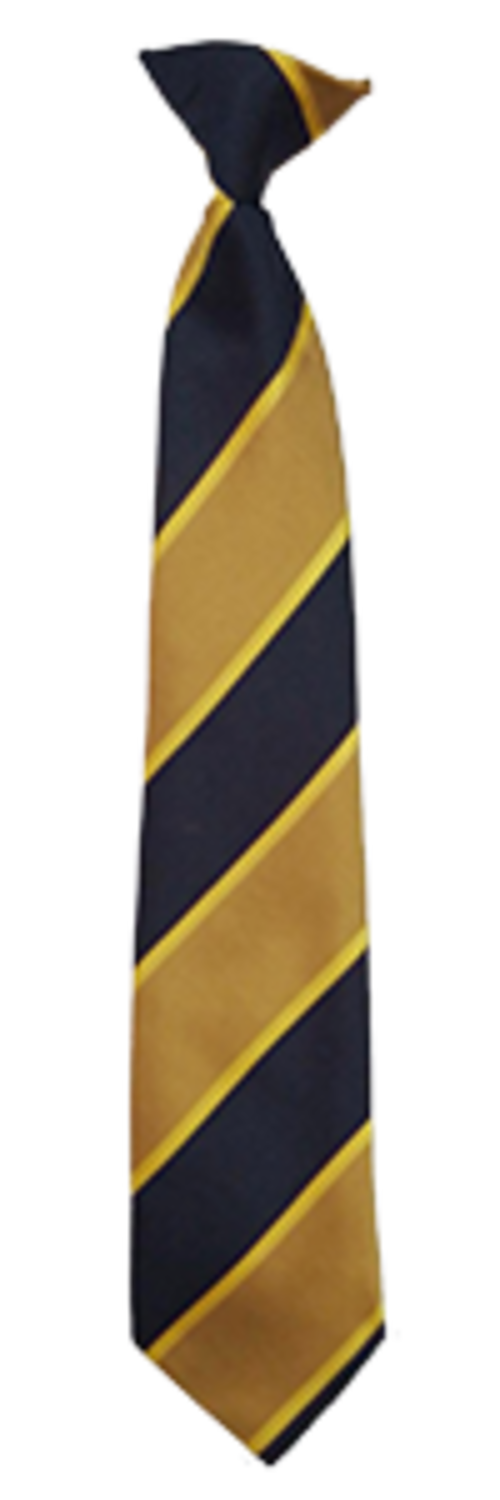 Healing Academy - Yellow - Clip Tie (51)