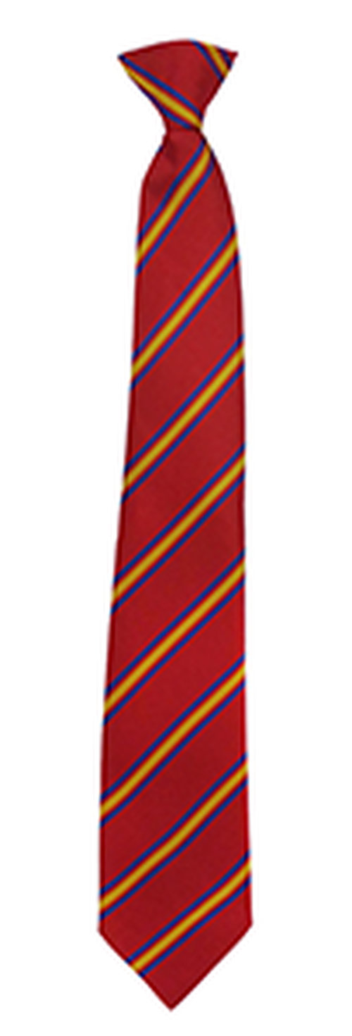 King Edward VI Grammar School TIE - Red Stripe Upper School Y10-11