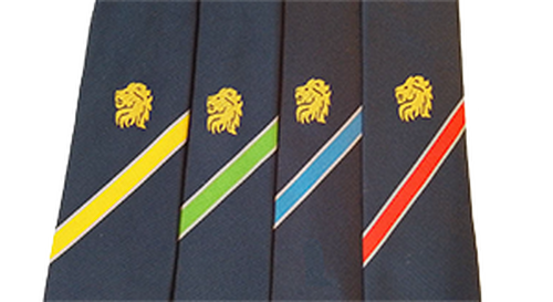 Kingsdown School - TIE