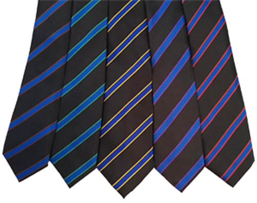 LCHS Lincoln Christ's Hospital School - Tie