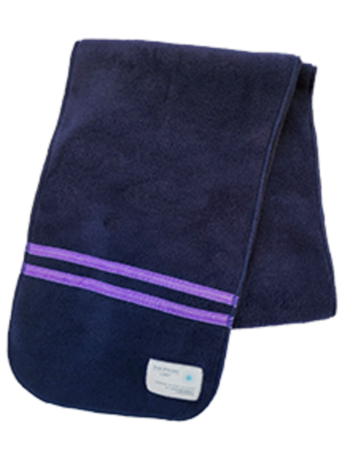 The Priory Academy LSST -  Scarf