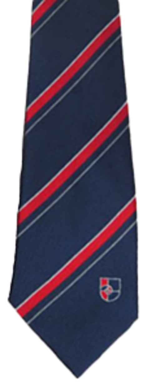 Landau Forte - Navy Stripe Tie (Y9, 10 & 11)