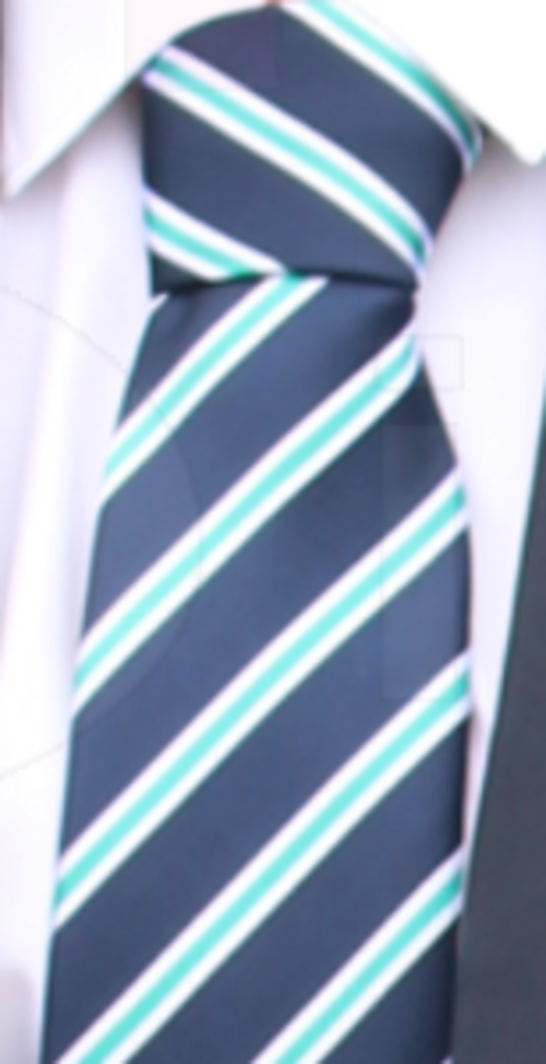 Lawn Manor Academy - Long TIE