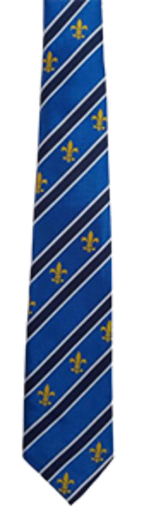 Lincoln Castle Academy - Y8, 9, 10 - Long TIE