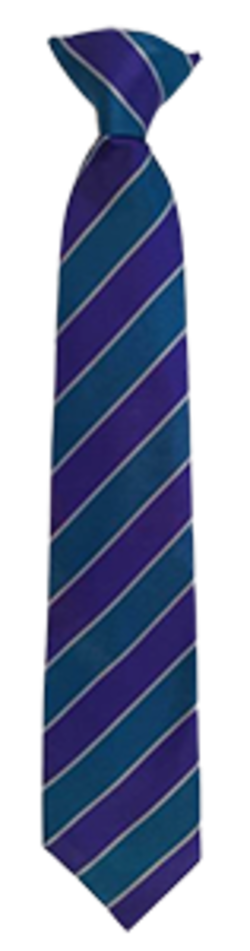 Magnus C of E Academy - TIE