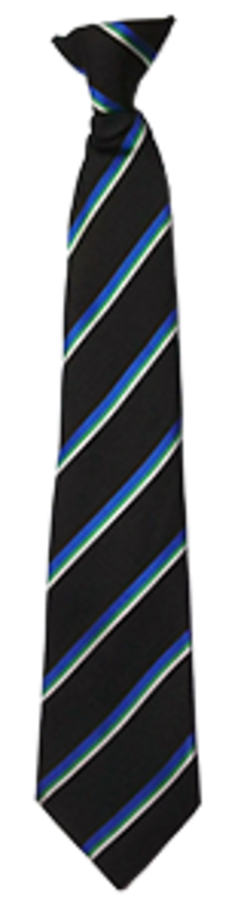 Moat Community College - Tie