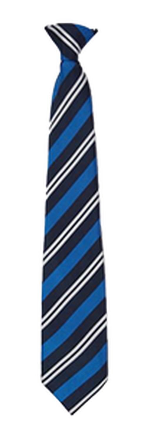 The Priory Pembroke Academy -  Clip TIE