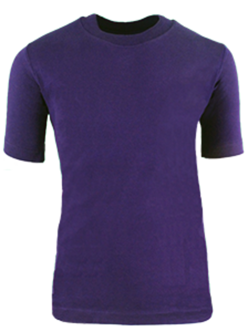 Plain Purple PE T-Shirt