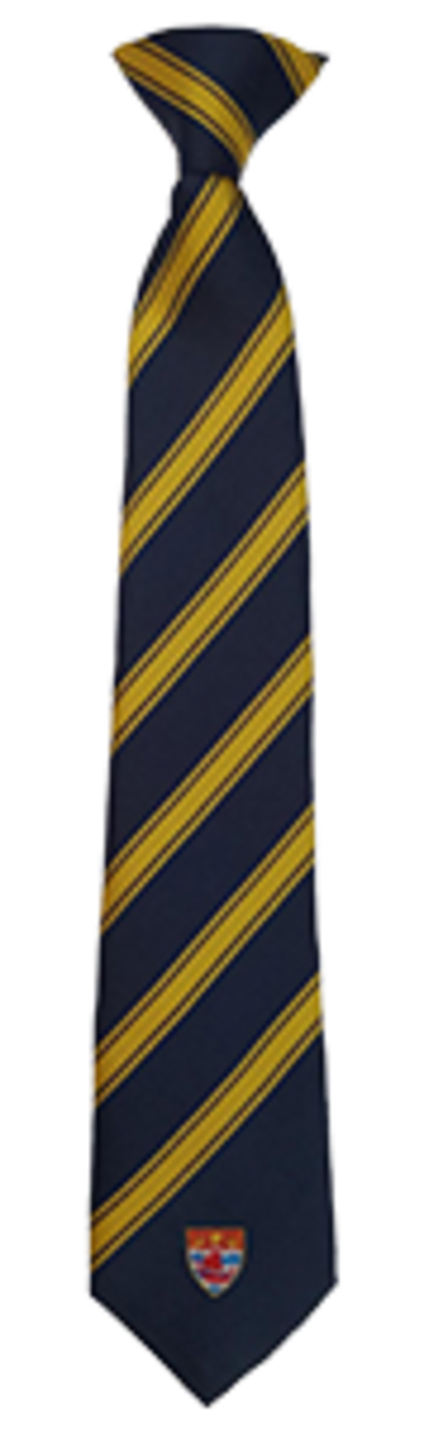 Austin - QEHS Clip-On Tie (Gold)