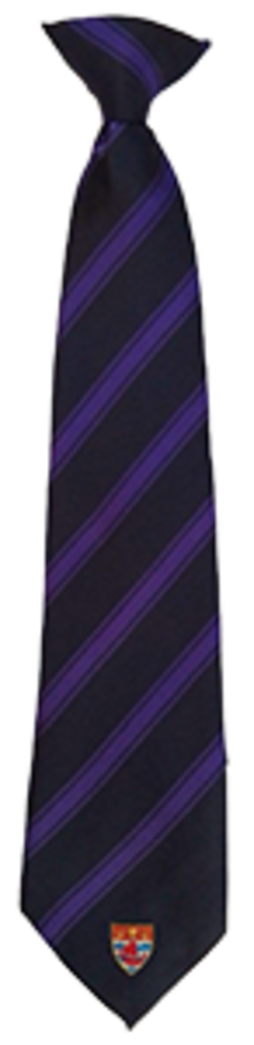 Brunel - QEHS Clip-On Tie (Purple)