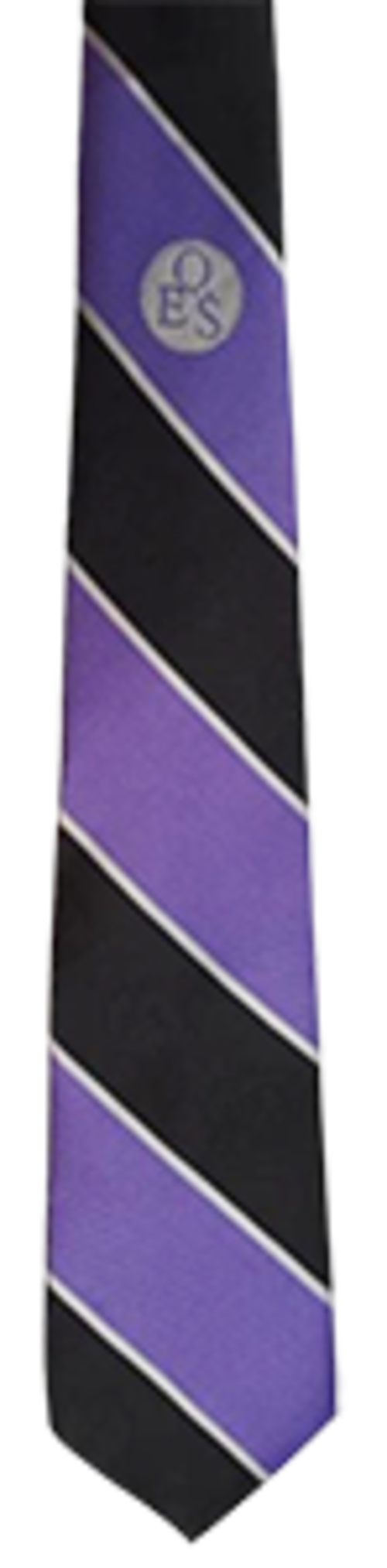 Queen Elizabeth School - PURPLE Tie