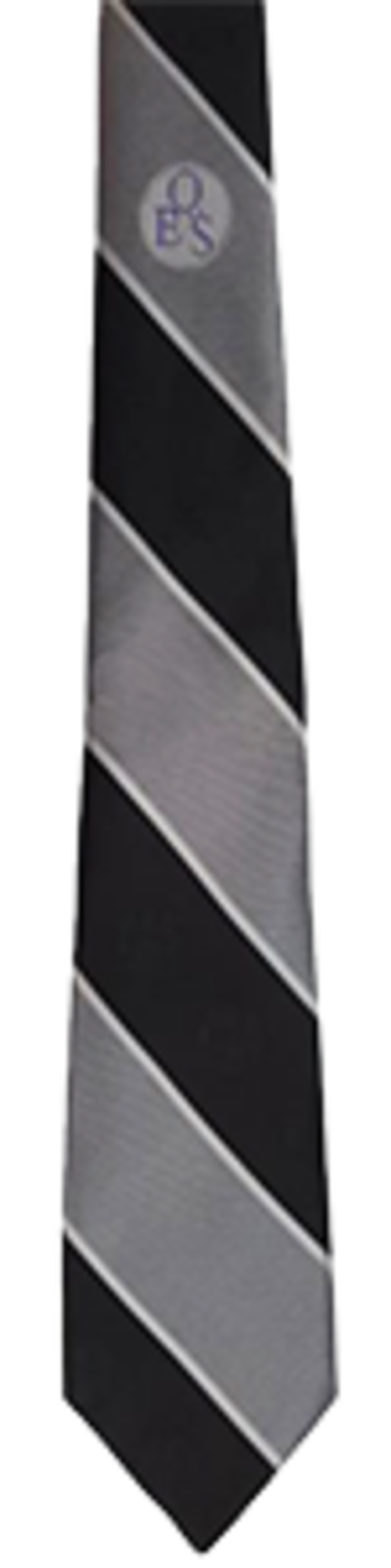 Queen Elizabeth School - SILVER Tie