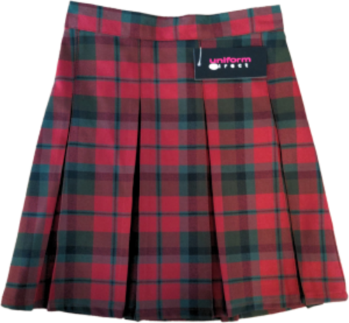 Christ Church C of E Primary School - SKIRT