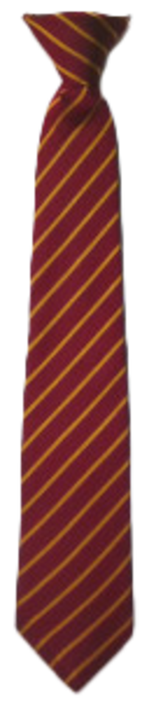 SSPP School Tie