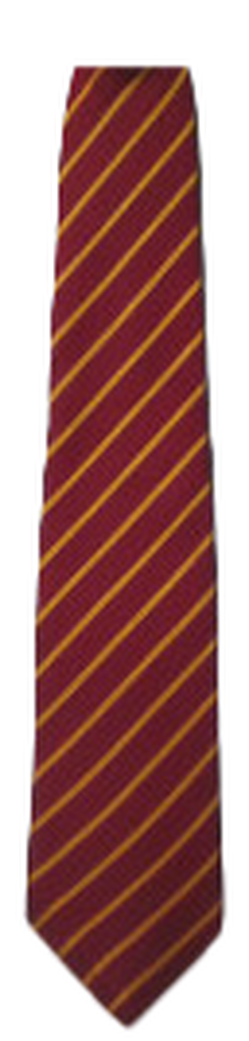 SSPP - LONG School TIE