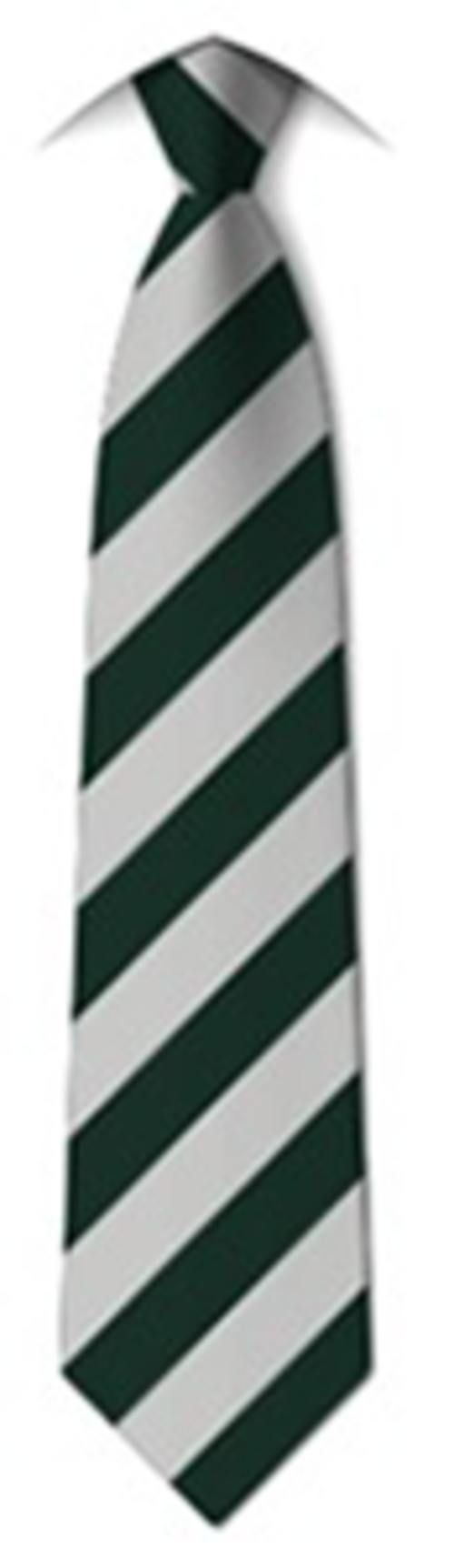 Silverhill Primary School - KS2 Long Tie