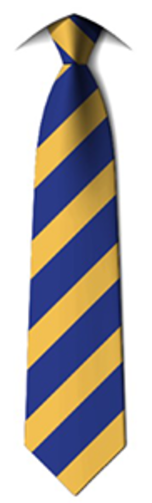 Saint Albans Catholic Primary School - Elastic Tie