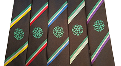 The Stockwood Park Academy - Tie
