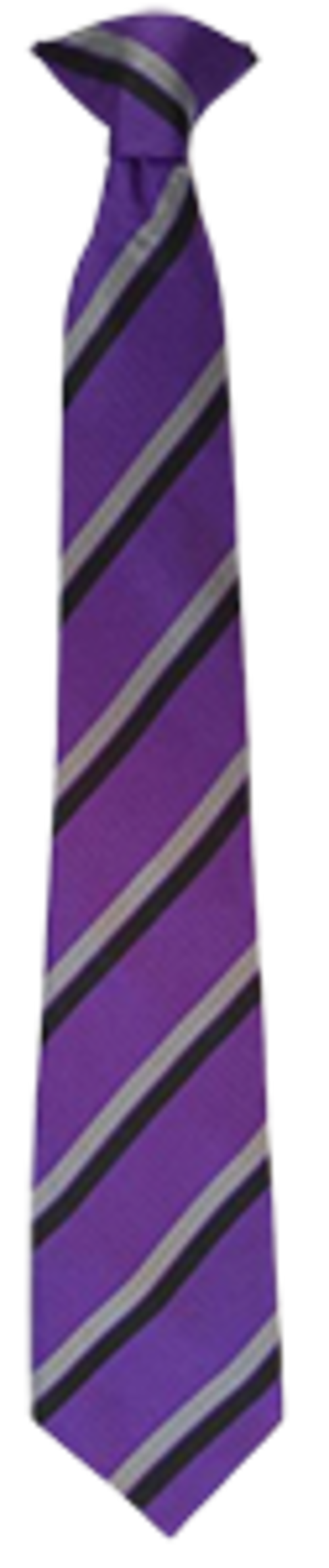 Sutton Community Academy - Tie