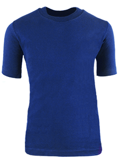 Plain Royal Blue T-Shirt