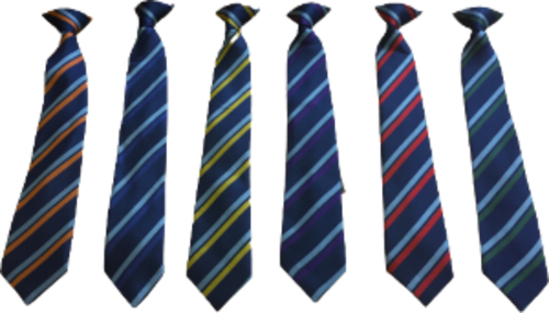 William Farr School - Tie