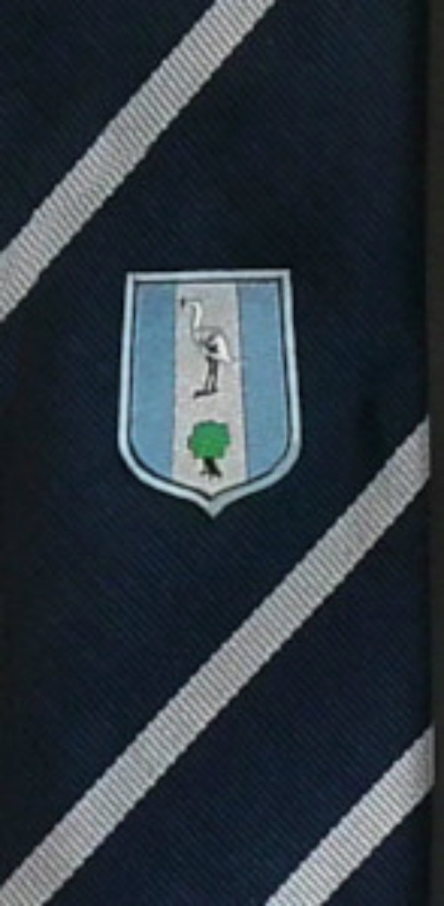 Branston - BLUE Tie